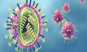 Các chủng virus cúm thường gặp Các chủng virus cúm thường gặp