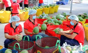 30 năm kinh doanh của doanh nghiệp Việt - Mỹ