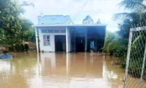 Mưa lớn gây sạt lở, ngập lụt nhiều nơi ở Lâm Đồng Mưa lớn gây sạt lở, ngập lụt nhiều nơi ở Lâm Đồng
