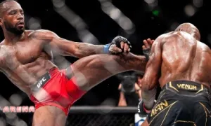 Giải mật thể thao: Nguồn gốc của MMA Giải mật thể thao: Nguồn gốc của MMA