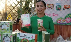 Người phụ nữ nâng giá trị nông sản lên hàng chục lần Người phụ nữ nâng giá trị nông sản lên hàng chục lần