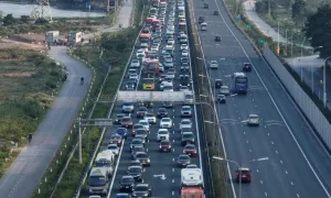 'Không vì một vụ tai nạn mà loại bỏ cây trên dải phân cách cao tốc'