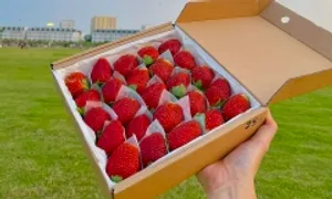 5 món ăn giàu vitamin C giúp giảm axit uric 5 món ăn giàu vitamin C giúp giảm axit uric