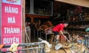 Giảm thuế 30%, gia hạn nộp 2 năm cho doanh nghiệp bị thiệt hại ngập lụt Giảm thuế 30%, gia hạn nộp 2 năm cho doanh nghiệp bị thiệt hại ngập lụt