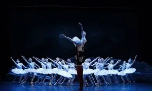 Ra mắt vũ kịch 'Hồ Thiên Nga' tại TP HCM Ra mắt vũ kịch 'Hồ Thiên Nga' tại TP HCM
